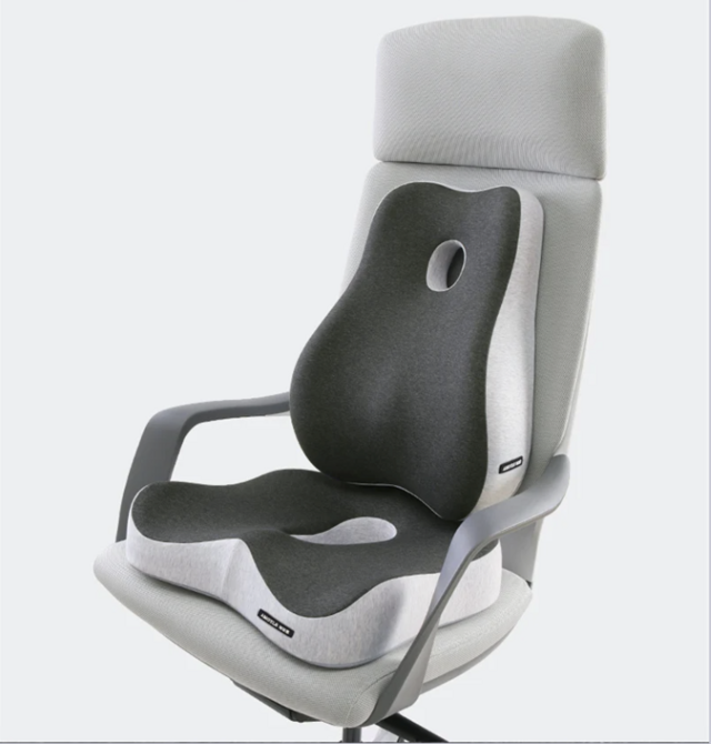 Encosto E Assento Para Apoio Lombar