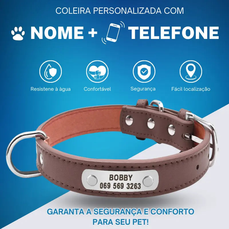 Coleira Personalizado com Nome e Contato