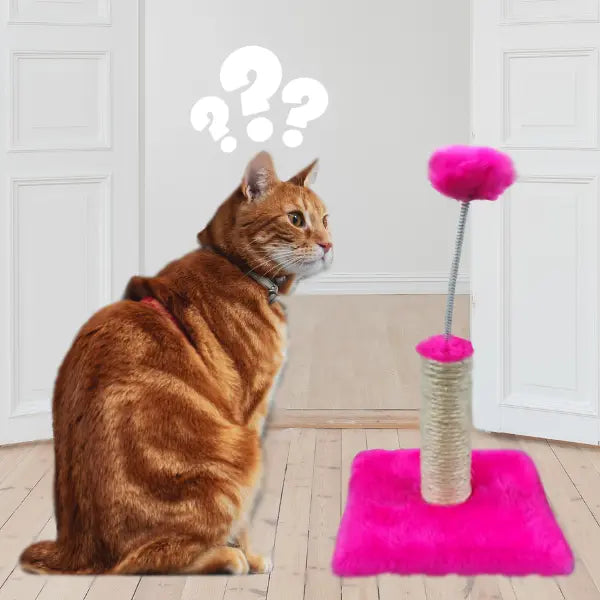 FeliPlay™ - Poste Divertido para Felinos