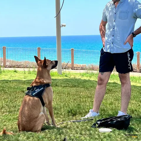 SafePet™ - Coleira Peitoral Premium Personalizada