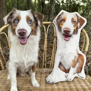 FluffyPillow™ - Almofada Personalizada Foto Pet