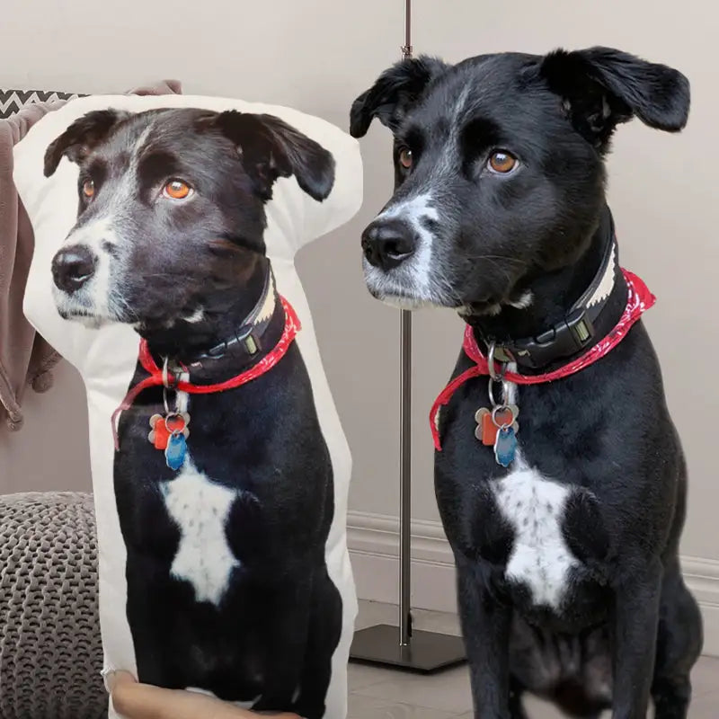 FluffyPillow™ - Almofada Personalizada Foto Pet