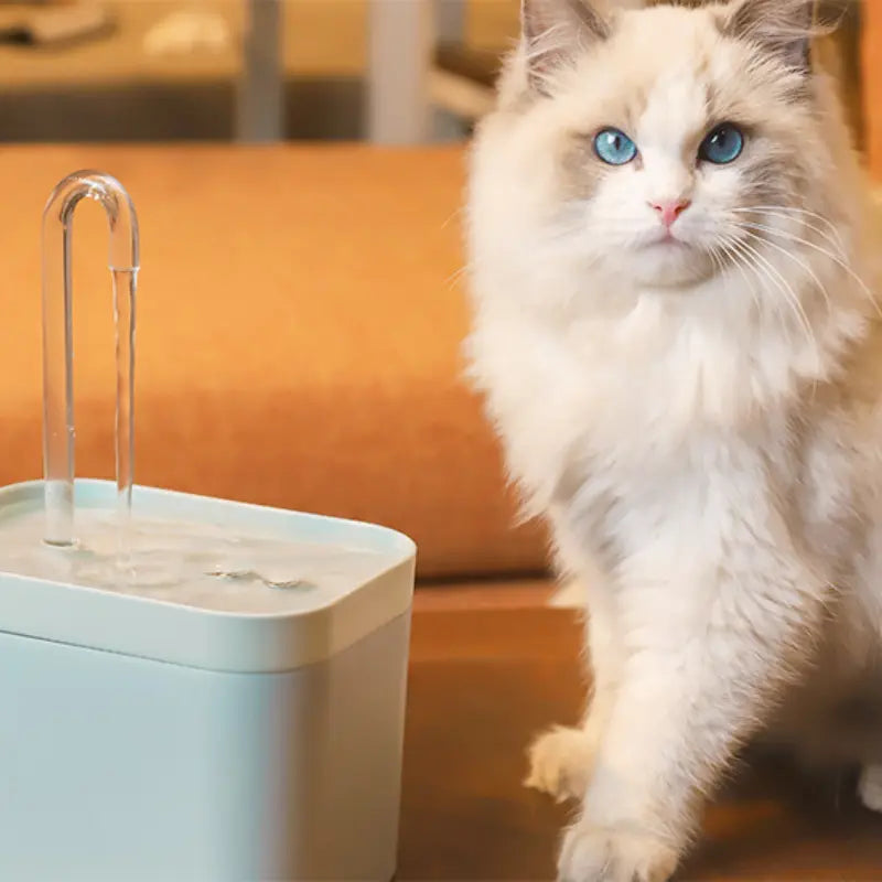 Bebedouro com Filtro para Gatos 1,5L