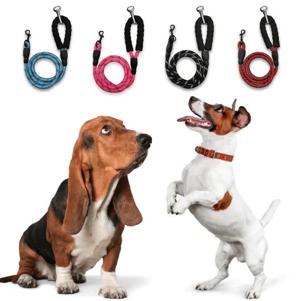 Guia de Passeio Resistente para Cães de Médio e Grande Porte