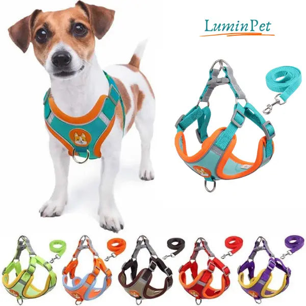 Colete Peitoral LuminPet™ - Elegância e Segurança