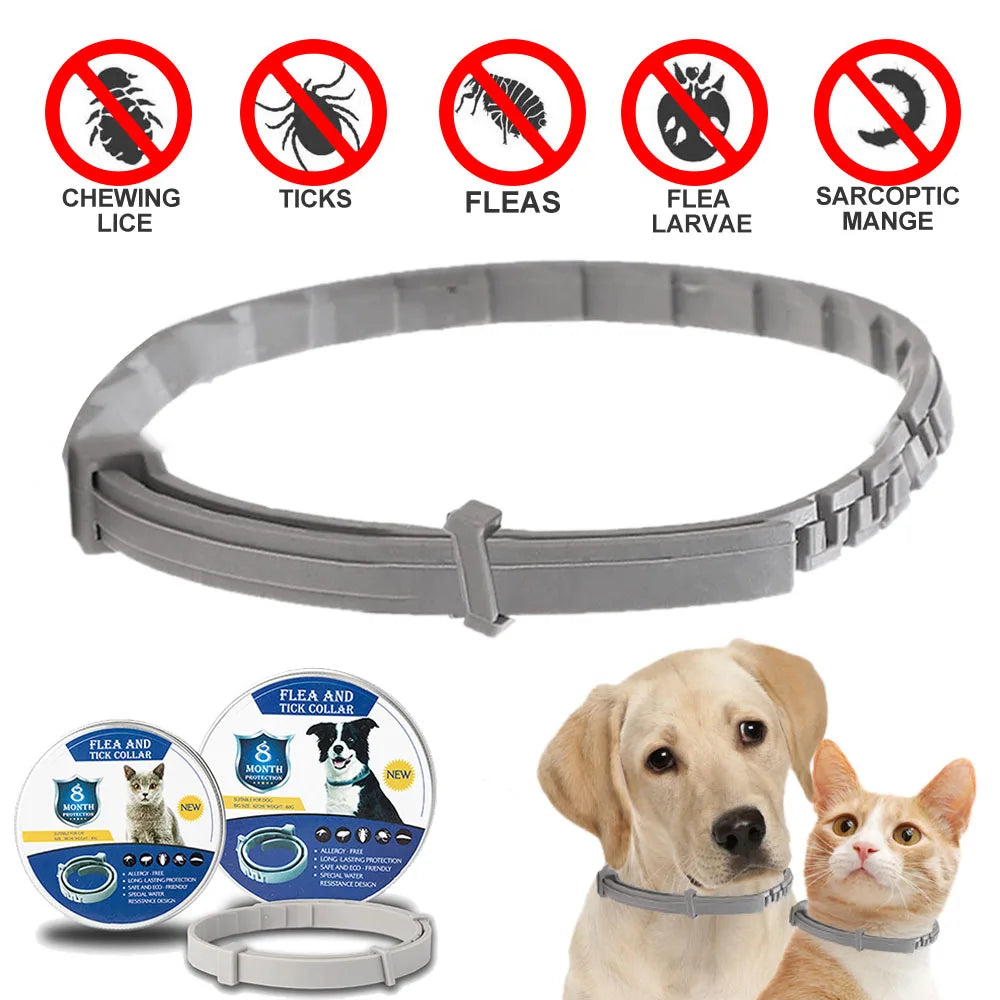 Coleira Repelente Para Cães e Gatos | Prevenção Antipulgas e Carrapatos, Parasita e Leishmaniose  | Para Cães Pequenos e Grandes | Suprimentos Para Animais De Estimação.